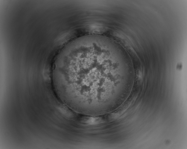 X0000103410663200809121306