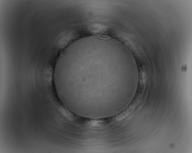 X0000103410664200809121306