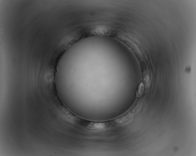 X0000103410665200809121306