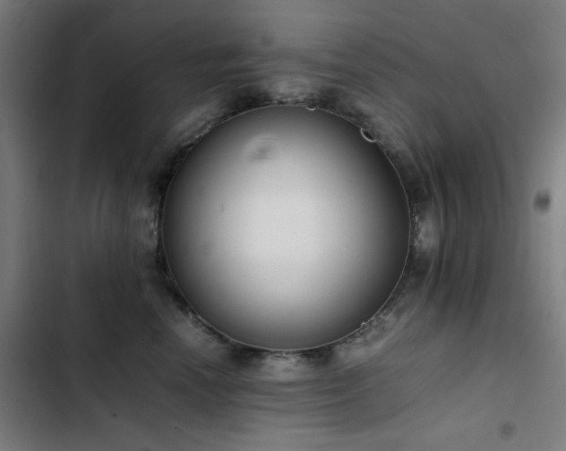 X0000103410666200809121306