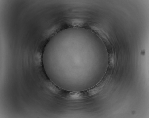 X0000103410667200809121306