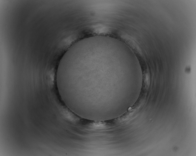 X0000103410668200809121306