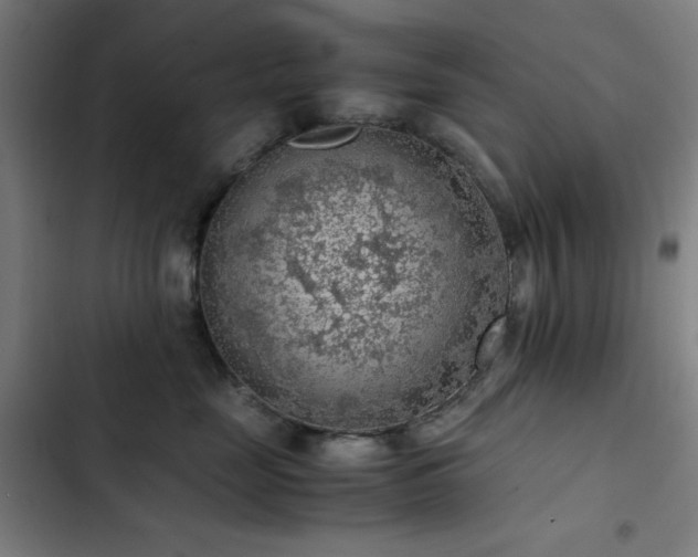 X0000103410669200809121306