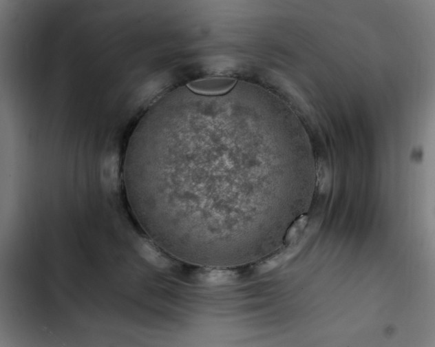 X0000103410670200809121306