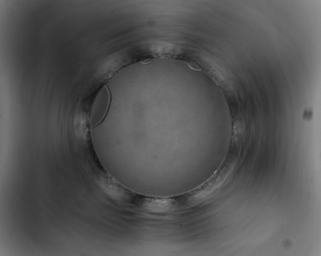 X0000103410671200809121306