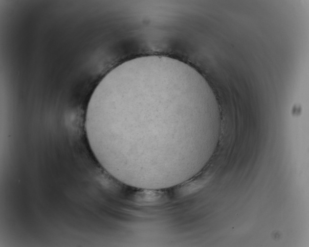 X0000103410672200809121306