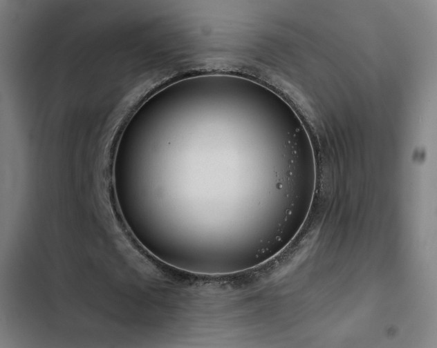 X0000103410673200809121306