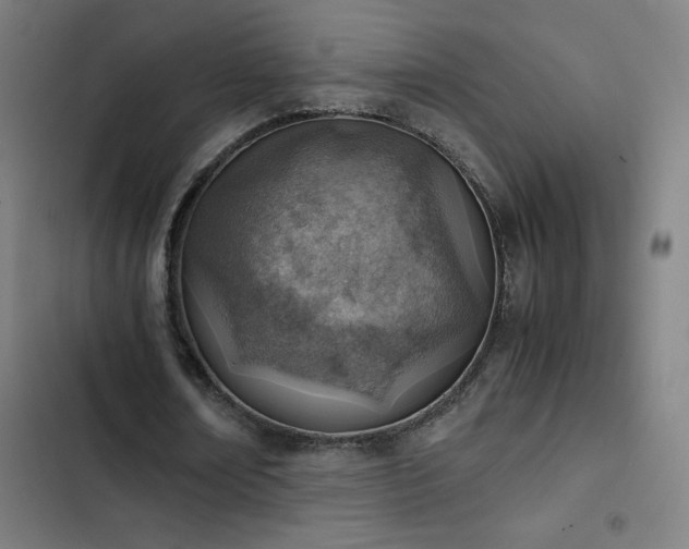 X0000103410674200809121306