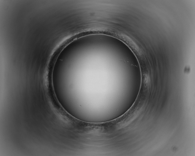 X0000103410676200809121306