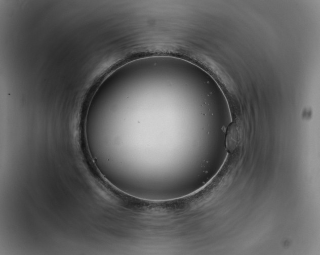 X0000103410677200809121306