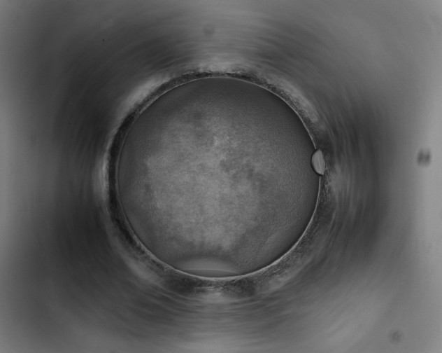 X0000103410678200809121306