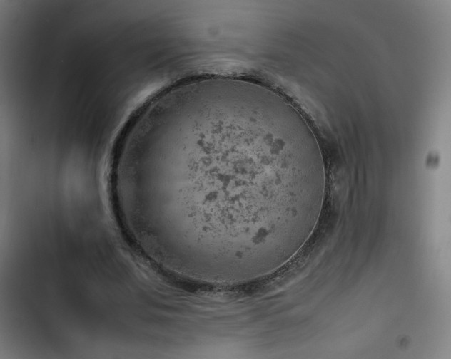 X0000103410679200809121306