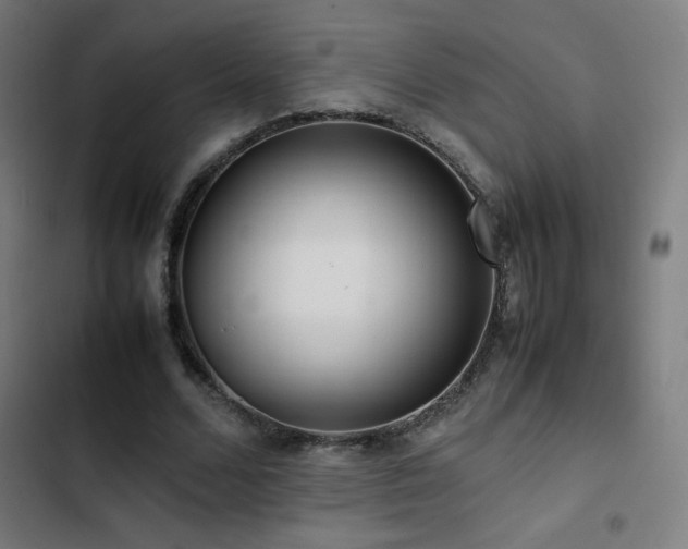 X0000103410680200809121306