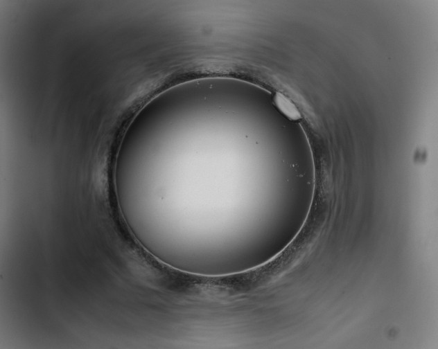 X0000103410681200809121306