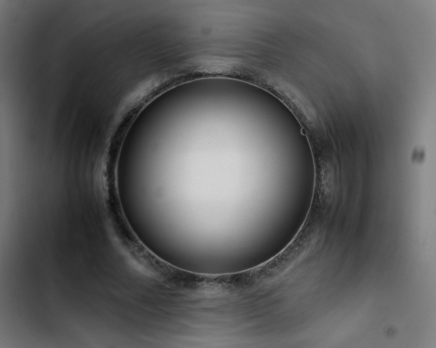 X0000103410682200809121306