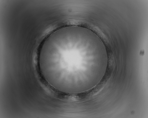 X0000103410683200809121306