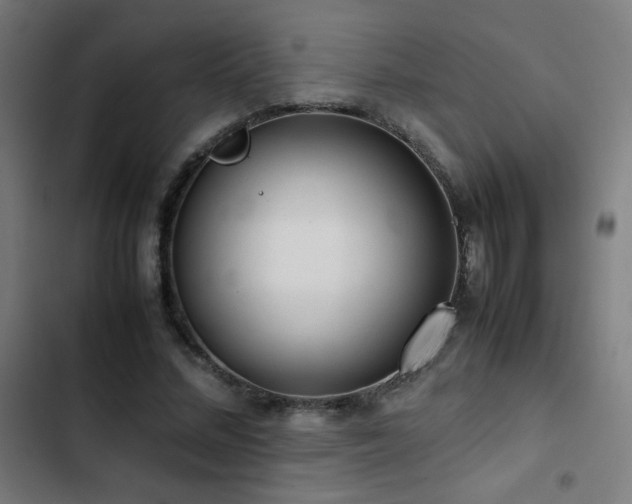 X0000103410684200809121306