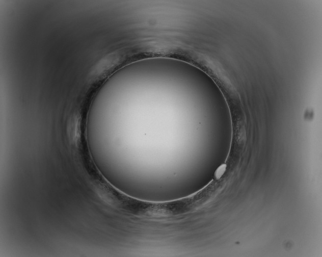 X0000103410685200809121306