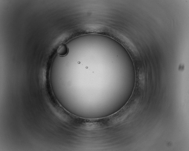 X0000103410686200809121306