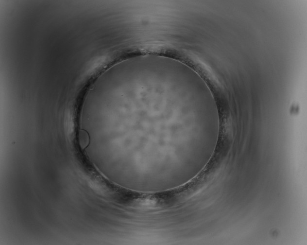 X0000103410687200809121306