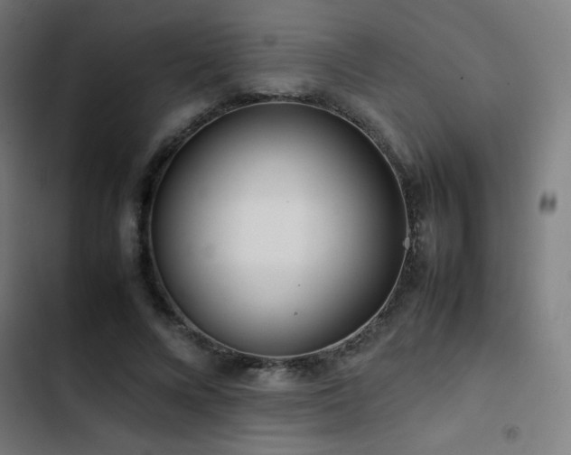 X0000103410688200809121306