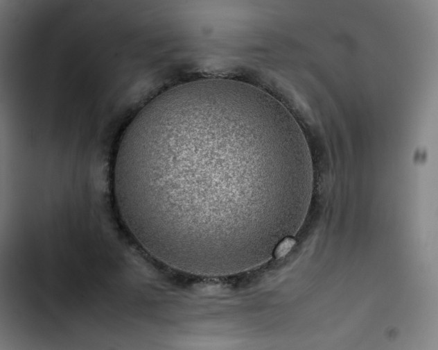 X0000103410689200809121306