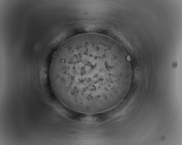 X0000103410691200809121306