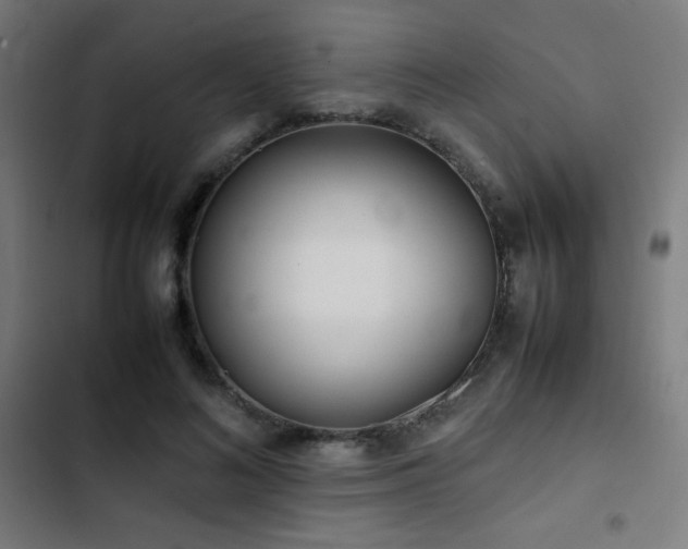 X0000103410692200809121306