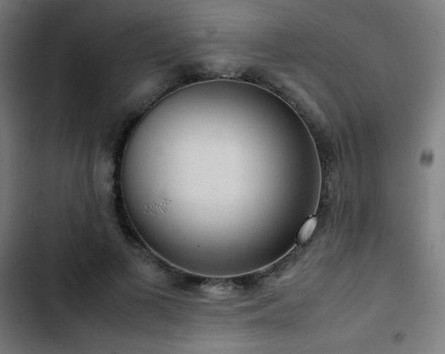 X0000103410693200809121306