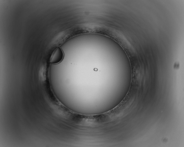 X0000103410694200809121306