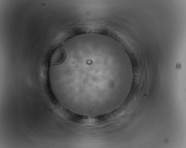 X0000103410695200809121306