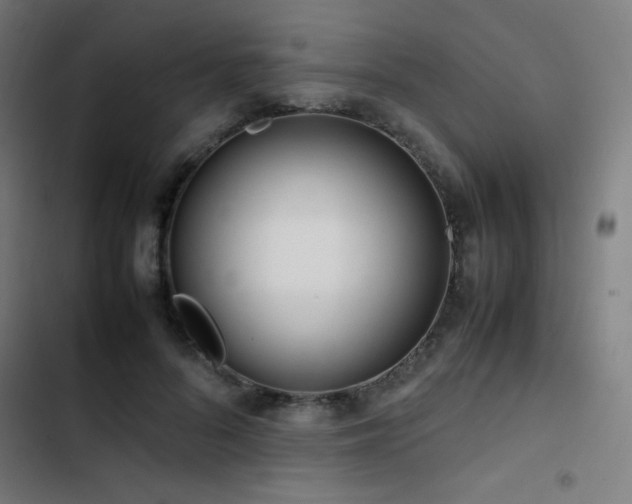 X0000103410696200809121306