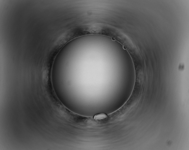 X0000103410697200809121305