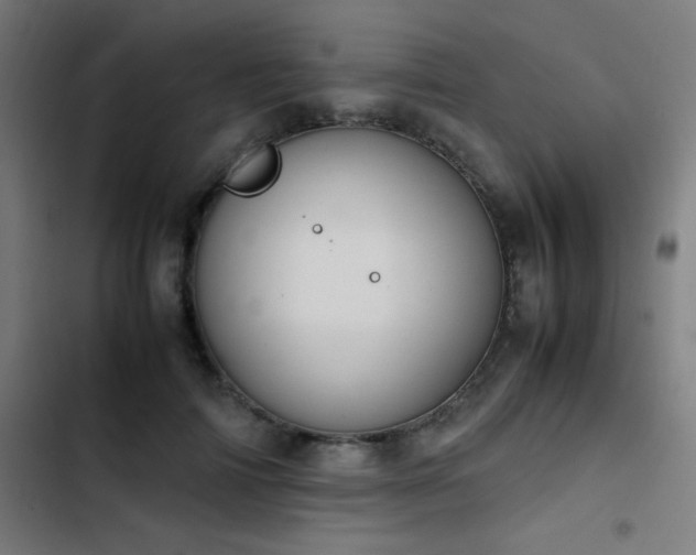 X0000103410698200809121305