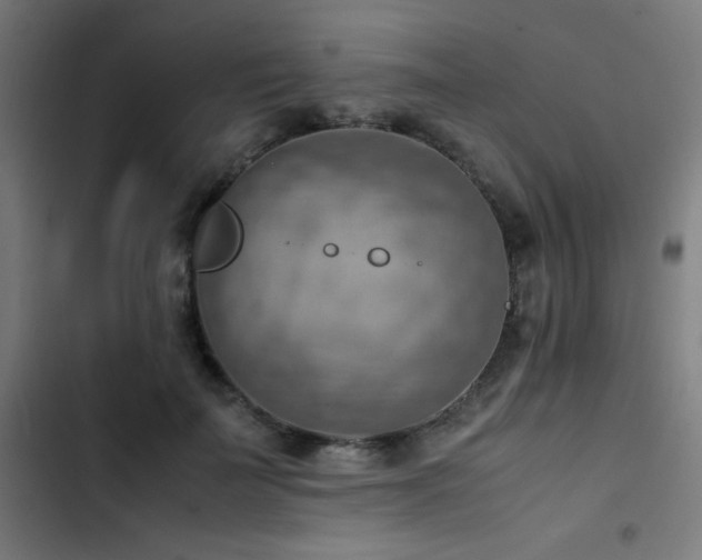 X0000103410699200809121305