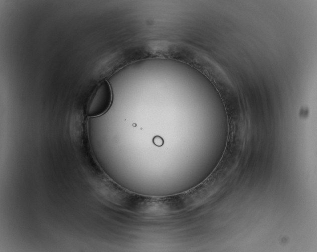 X0000103410702200809121305