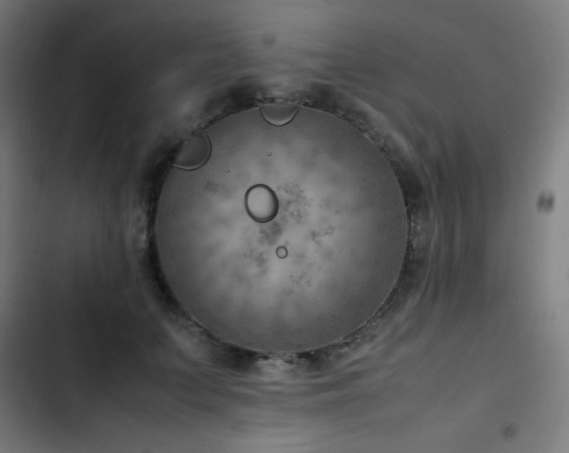 X0000103410703200809121305