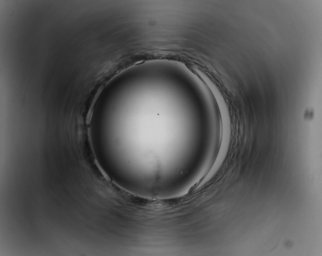 X0000103410704200809121305