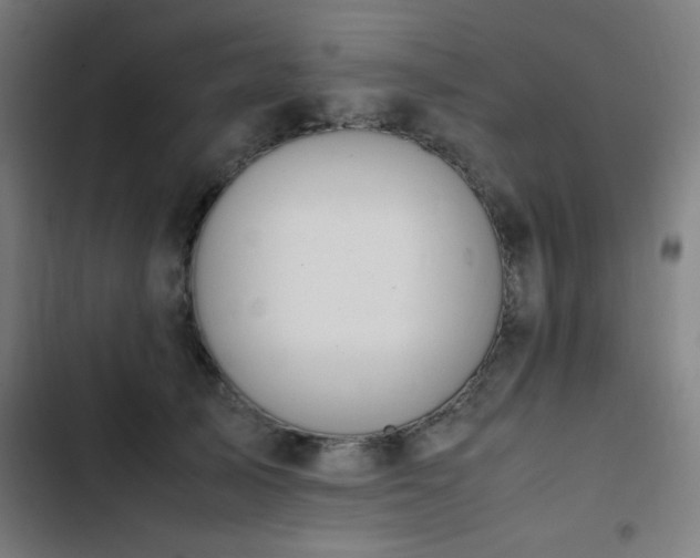 X0000103410705200809121305