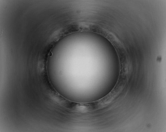 X0000103410706200809121305