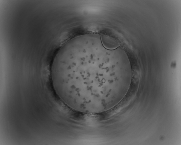 X0000103410707200809121305