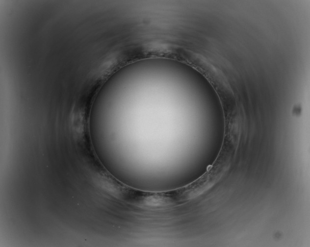 X0000103410708200809121305