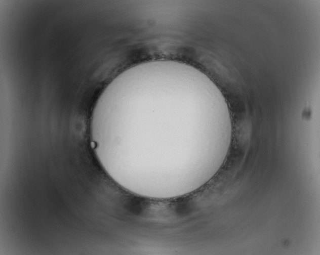 X0000103410709200809121305