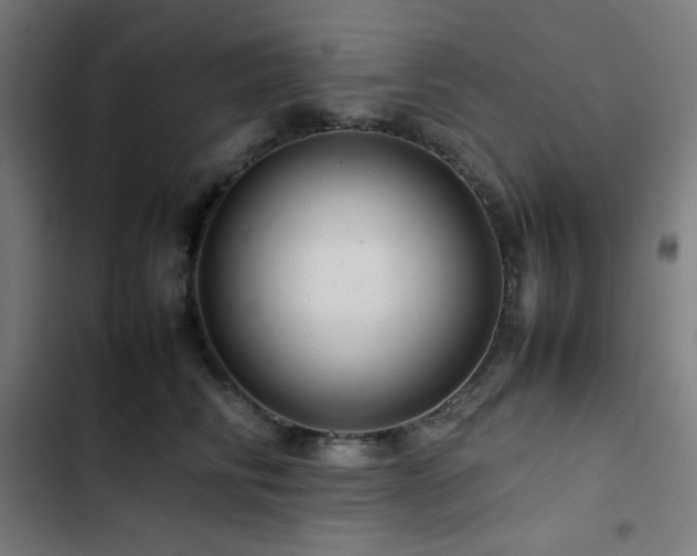 X0000103410710200809121305