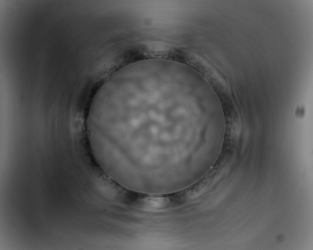 X0000103410711200809121305