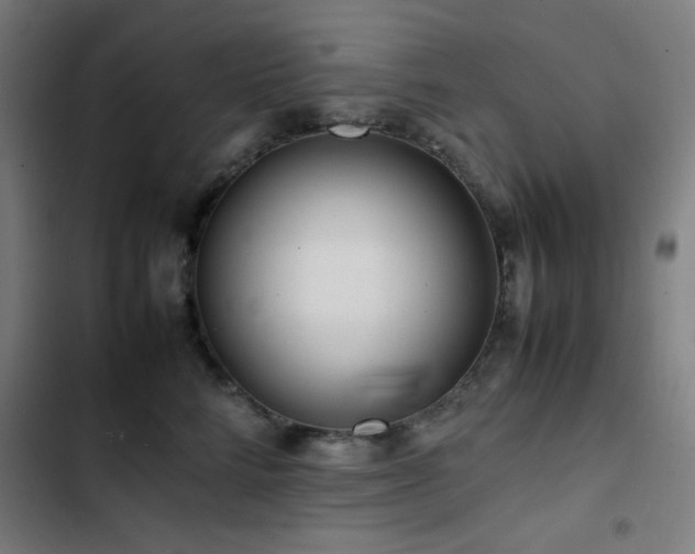 X0000103410712200809121305