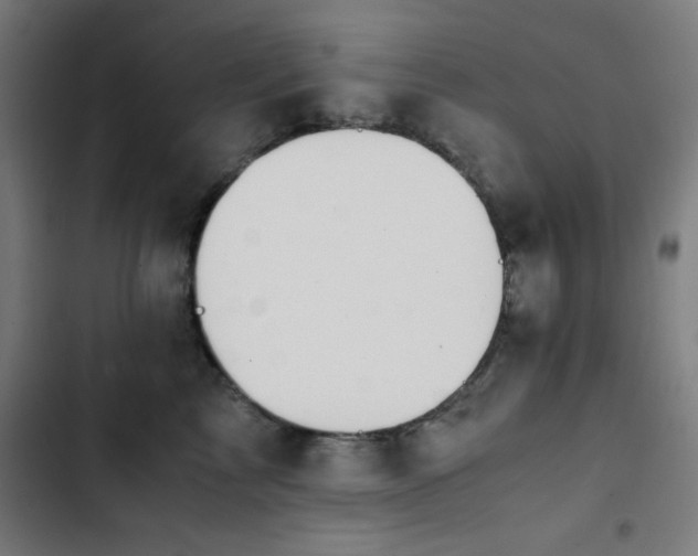 X0000103410713200809121305