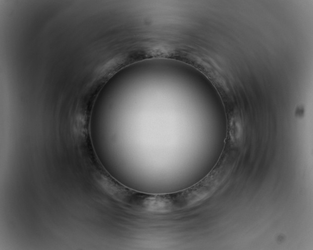 X0000103410714200809121305