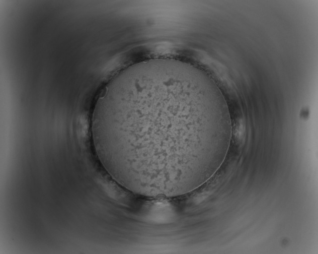 X0000103410715200809121305