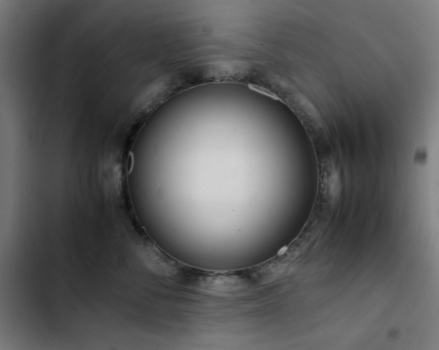 X0000103410716200809121305